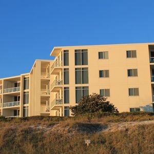 Meet your Posher, Orion